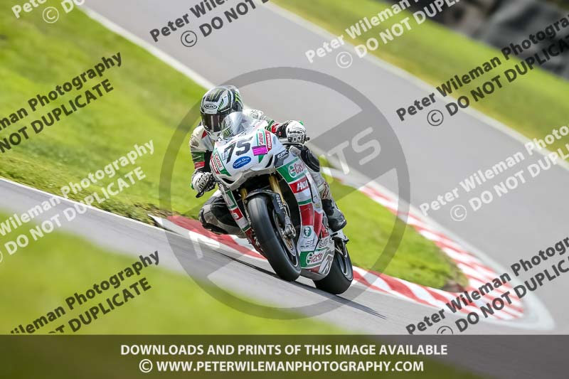 Oulton Park 21st March 2020;PJ Motorsport Photography 2020;anglesey;brands hatch;cadwell park;croft;donington park;enduro digital images;event digital images;eventdigitalimages;mallory;no limits;oulton park;peter wileman photography;racing digital images;silverstone;snetterton;trackday digital images;trackday photos;vmcc banbury run;welsh 2 day enduro